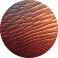 Pecan GmbH - Marchtrenk