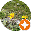 ÖAMTC Stützpunkt Bludenz-Bürs - Bürs