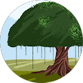 The Creator Experience - Walnut Creek, California