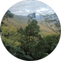 Maple Massage & Beauty - Redbank, Queensland