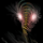 Hemul Hemulsky's profile photo