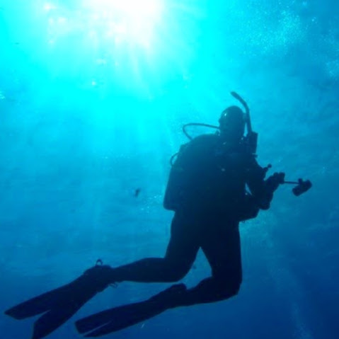 Diane Davidson (Lady Diver)