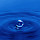 Thao Tran's profile photo