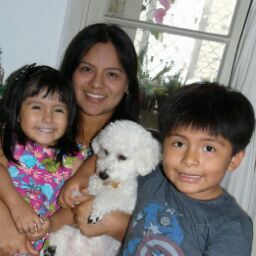 Animal Pet - Ricardo Jafet — foto 4