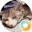 きたがわ