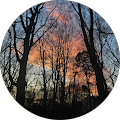 Innovative Information Technologies - Princeton, New Jersey
