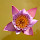 ubd...@gmail.com's profile photo
