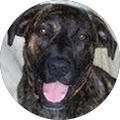 User profile - k faasse.