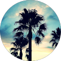 Avatar de Steve.