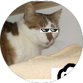 Avatar de Gaspard.a