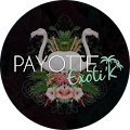 Avis de Payotte.x avec une note de 5 sur 5