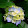 Polo Presencial de Camaçari's profile photo