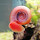 Paulo Mateus's profile photo