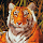 Tiger's profile photo