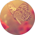 Juliana Rios Rodriguez