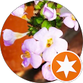 Avatar de FabboX.F