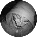 Avatar de PsyCose-.f