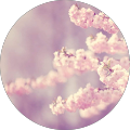 Avatar de Elsa.B