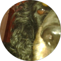 Community member
