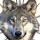 Harald Trenner's profile photo