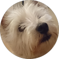 Gab S_image