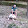 pplad...@gmail.com's profile photo
