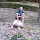 pplad...@gmail.com's profile photo