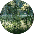 Avatar de alex.r