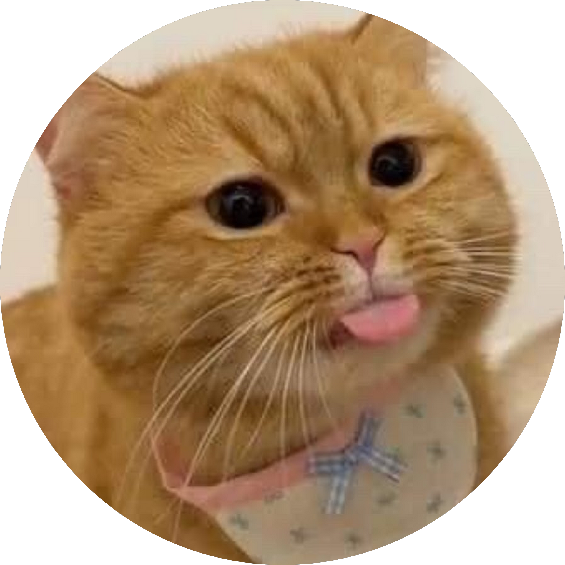 Linh