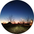 Avatar de Phiphine.