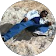 xavier P.