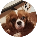 Avatar de Marie-Claude.E