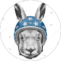 Avis de Wabbit. avec une note de 5 sur 5