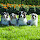 jst...@nb.sympatico.ca's profile photo