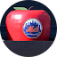 Mets fan