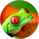 Conor Little's profile image
