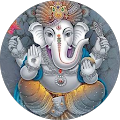 Reviewer Image