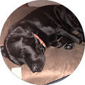 Sage Care Advice - Maroochydore, QLD