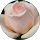 Martha Tabares profile picture
