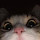 Filip Wojciechowski's profile photo