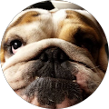Avatar de Grég.B