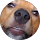 Maggy D. profile picture