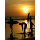 Dahn Maier's profile photo