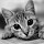 Bill Gilbert's profile photo