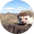Avatar de Ambroise.u