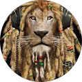 Avatar de lion.k