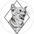 Cat Rombo