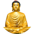 Avatar de podium.e