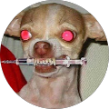 Avatar de anonymusgamer.