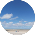 Avatar de Ribar.j